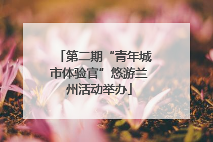 第二期“青年城市体验官”悠游兰州活动举办