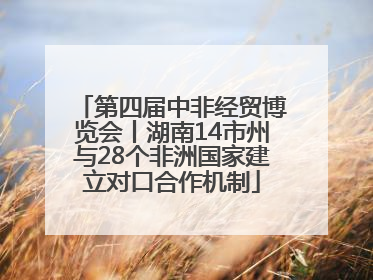 第四届中非经贸博览会丨湖南14市州与28个非洲国家建立对口合作机制