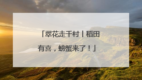 翠花走千村丨稻田有喜，螃蟹来了！