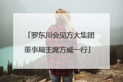 罗东川会见方大集团董事局主席方威一行