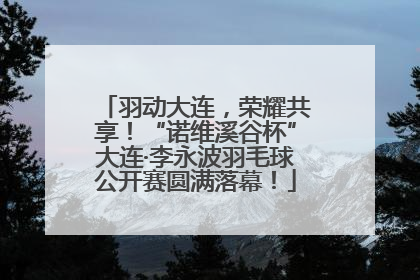 羽动大连，荣耀共享！“诺维溪谷杯”大连·李永波羽毛球公开赛圆满落幕！
