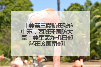 美第三艘航母驶向中东，西班牙国防大臣：美军轰炸机已部署在该国南部