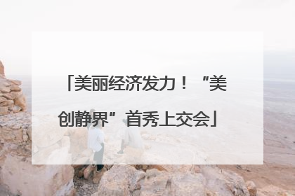 美丽经济发力！“美创静界”首秀上交会
