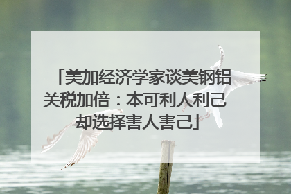 美加经济学家谈美钢铝关税加倍：本可利人利己 却选择害人害己