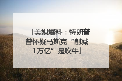 美媒爆料：特朗普曾怀疑马斯克“削减1万亿”是吹牛