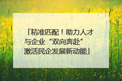 精准匹配！助力人才与企业“双向奔赴” 激活民企发展新动能