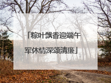 粽叶飘香迎端午 军休情深颂清廉