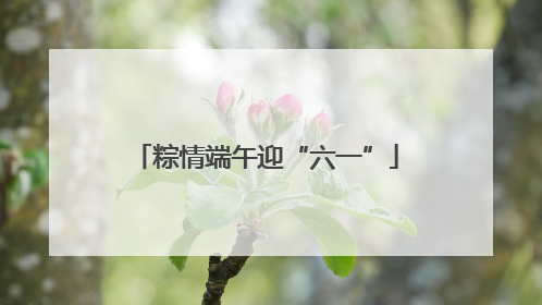 粽情端午迎“六一”