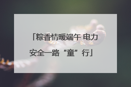 粽香情暖端午 电力安全一路“童”行