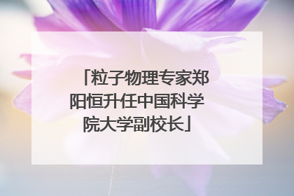 粒子物理专家郑阳恒升任中国科学院大学副校长