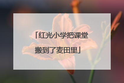 红光小学把课堂搬到了麦田里