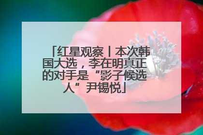 红星观察丨本次韩国大选，李在明真正的对手是“影子候选人”尹锡悦