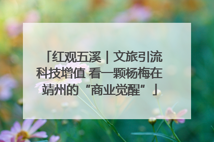 红观五溪｜文旅引流 科技增值 看一颗杨梅在靖州的“商业觉醒”