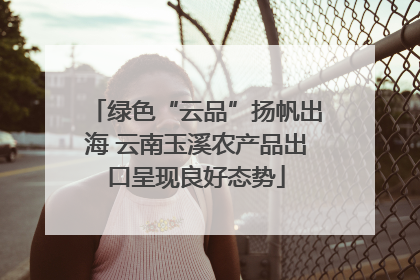 绿色“云品”扬帆出海 云南玉溪农产品出口呈现良好态势