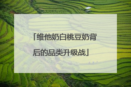 维他奶白桃豆奶背后的品类升级战