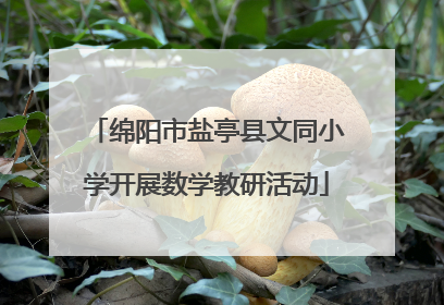 绵阳市盐亭县文同小学开展数学教研活动