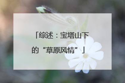 综述：宝塔山下的“草原风情”