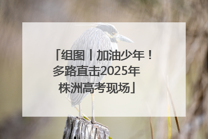 组图丨加油少年！多路直击2025年株洲高考现场