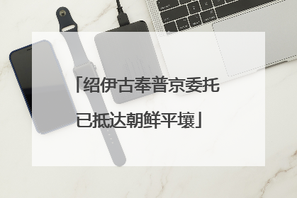 绍伊古奉普京委托已抵达朝鲜平壤
