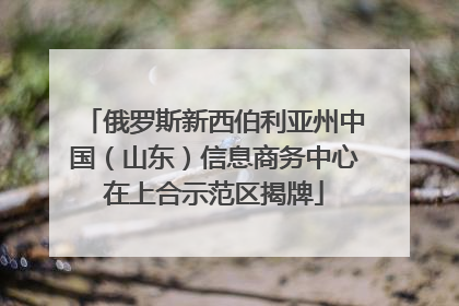 俄罗斯新西伯利亚州中国（山东）信息商务中心在上合示范区揭牌