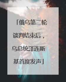 俄乌第二轮谈判结束后，乌总统泽连斯基首度发声