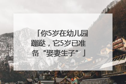 你5岁在幼儿园蹦跶，它5岁已准备“娶妻生子”