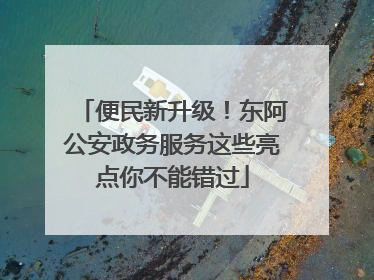便民新升级！东阿公安政务服务这些亮点你不能错过