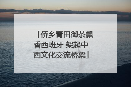 侨乡青田御茶飘香西班牙 架起中西文化交流桥梁