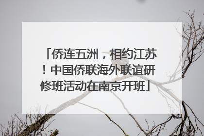 侨连五洲，相约江苏！中国侨联海外联谊研修班活动在南京开班