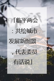 临平两会：共绘城市发展新图景，代表委员有话说