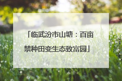 临武汾市山塘：百亩禁种田变生态致富园