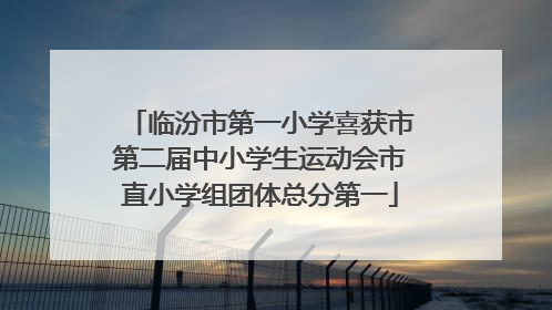 临汾市第一小学喜获市第二届中小学生运动会市直小学组团体总分第一