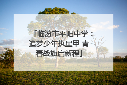 临汾市平阳中学：追梦少年执星甲 青春战旗启新程