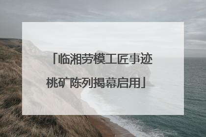 临湘劳模工匠事迹桃矿陈列揭幕启用