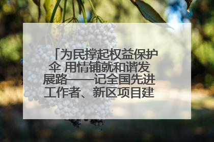 为民撑起权益保护伞 用情铺就和谐发展路——记全国先进工作者、新区项目建设中心干部卢小勇