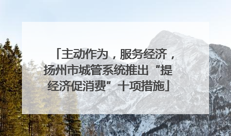主动作为，服务经济，扬州市城管系统推出“提经济促消费”十项措施