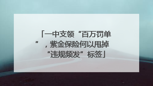 一中支领“百万罚单”，紫金保险何以甩掉“违规频发”标签