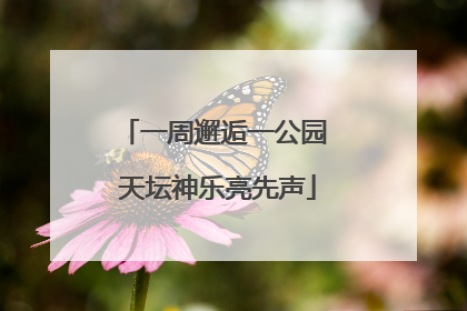一周邂逅一公园 天坛神乐亮先声