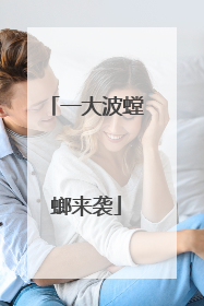 一大波螳螂来袭
