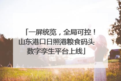 一屏统览，全局可控！山东港口日照港粮食码头数字孪生平台上线