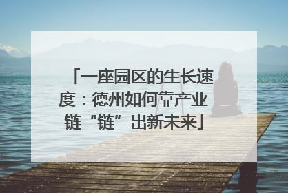 一座园区的生长速度：德州如何靠产业链“链”出新未来