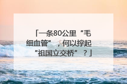 一条80公里“毛细血管”，何以撑起“祖国立交桥”？