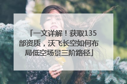 一文详解！获取135部资质，沃飞长空如何布局低空场景三阶路径
