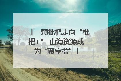 一颗枇杷走向“枇杷+” 山海资源成为“聚宝盆”