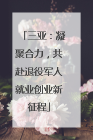 三亚：凝聚合力，共赴退役军人就业创业新征程