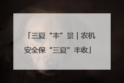 三夏“丰”景｜农机安全保“三夏”丰收