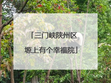 三门峡陕州区 塬上有个幸福院