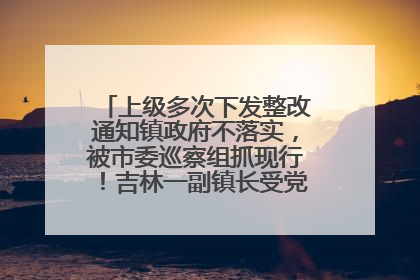 上级多次下发整改通知镇政府不落实，被市委巡察组抓现行！吉林一副镇长受党内警告处分