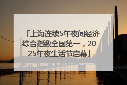 上海连续5年夜间经济综合指数全国第一，2025年夜生活节启幕