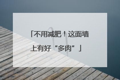不用减肥！这面墙上有好“多肉”